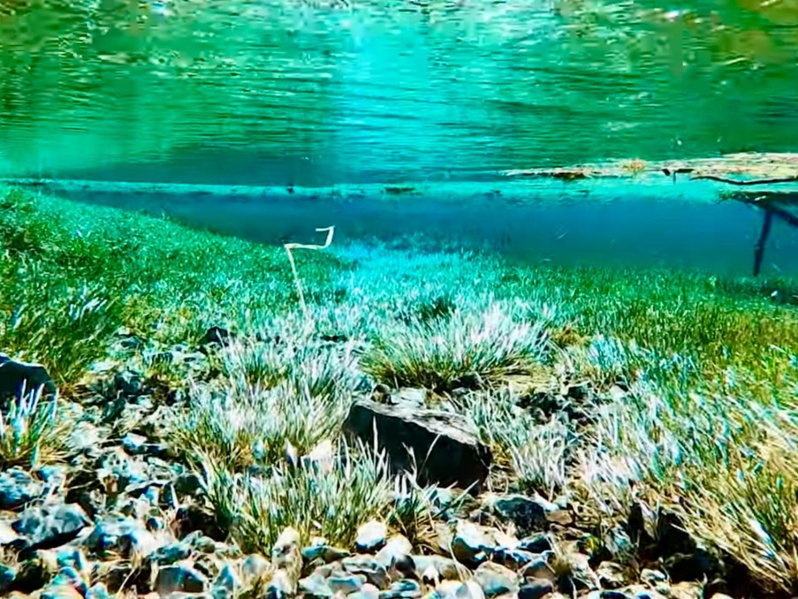 Gruener See Exklusiv Oberort Bagian luar foto