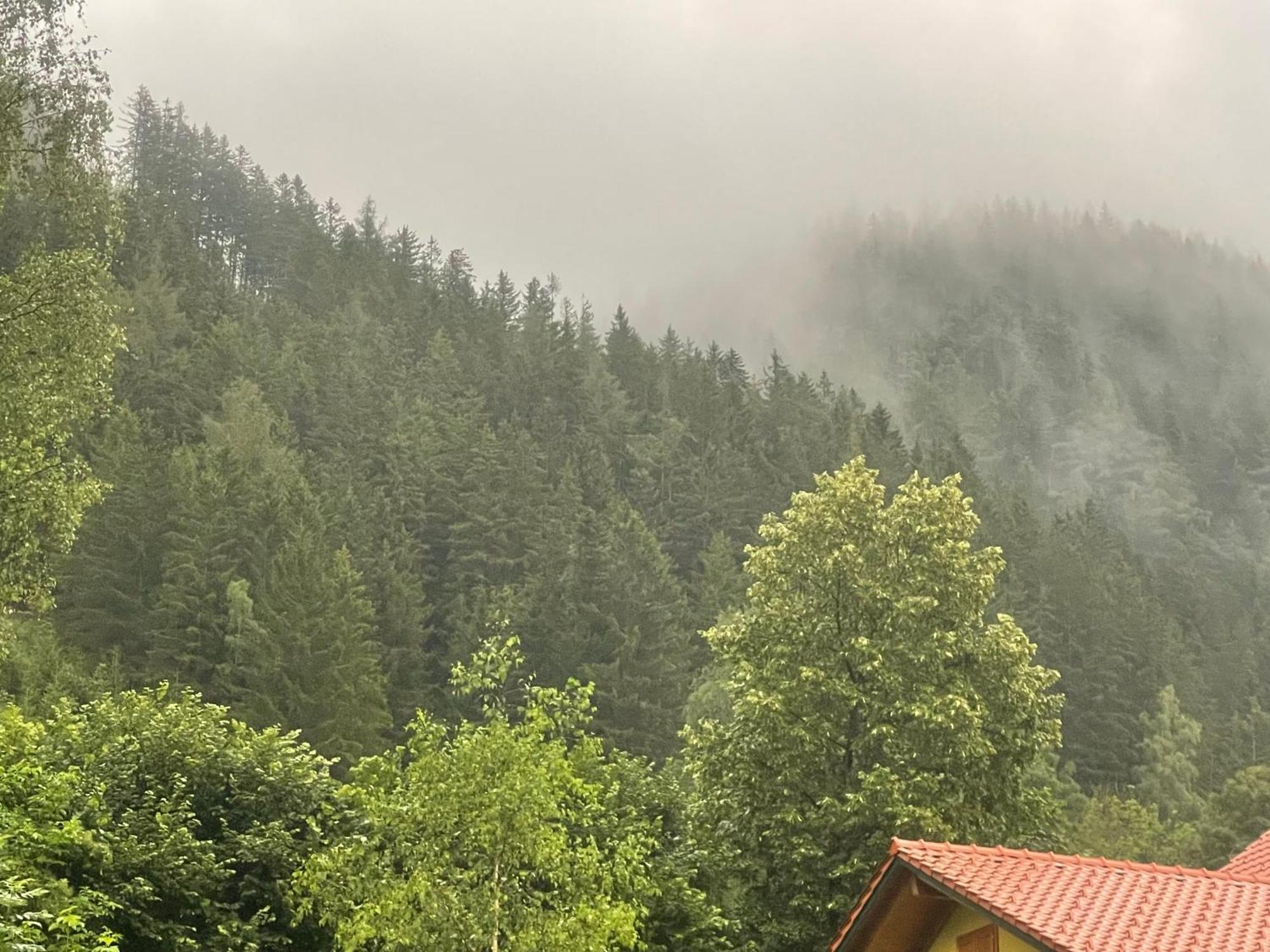 Gruener See Exklusiv Oberort Bagian luar foto
